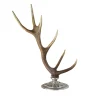 Deer Horn Stand