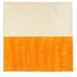 Dejavu Ficus Indica Set of 25 Find.9 Tiles