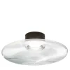 Desideria Black Ceiling Lamp