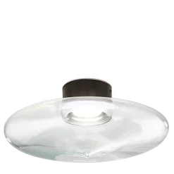 Desideria Black Ceiling Lamp
