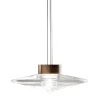 Desideria Burnished and Transparent Pendant Lamp