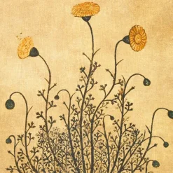 Dhiantus Print On Canvas