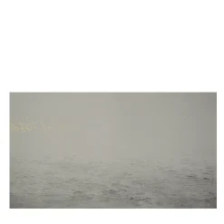 Distant Breath Of A Wing Etching