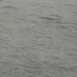 Distant Breath Of A Wing Etching