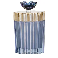 Doge Blue Tall Glass Box with Lid