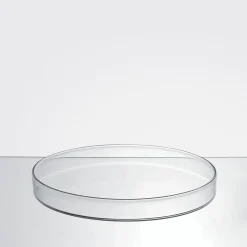 Dotto Large Set of 4 Serving Plates by R&D Blueside