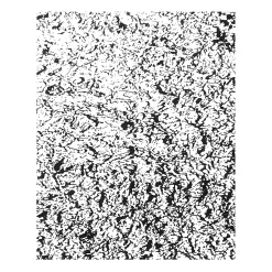 Drops in Chiang Mai Drawing