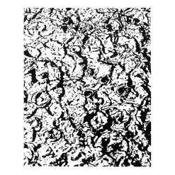 Drops in Chiang Mai Drawing