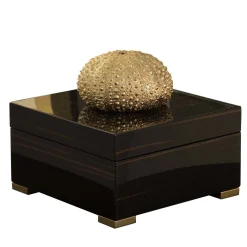 Ebony Square Box with Gold Sea Urchin