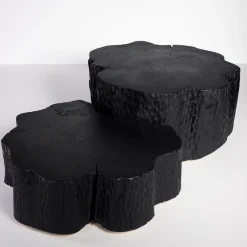 Eclipse Set of 2 Carved Black Coffee Tables