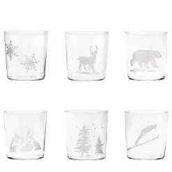 Engraved Snow Set of 6 Water Glasses