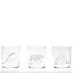 Engraved Snow Set of 6 Water Glasses
