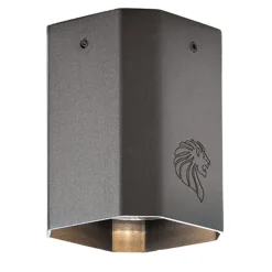 Era Single Spotlight