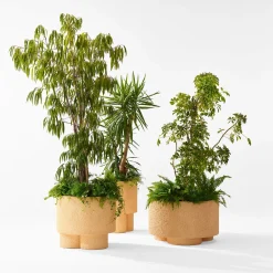 Erasmo Vase by Patricia Urquiola