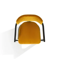 Essa Yellow Velvet And Glossy Black Wood With Horn Inlays Chair