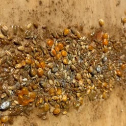 Essence Abstract Painting