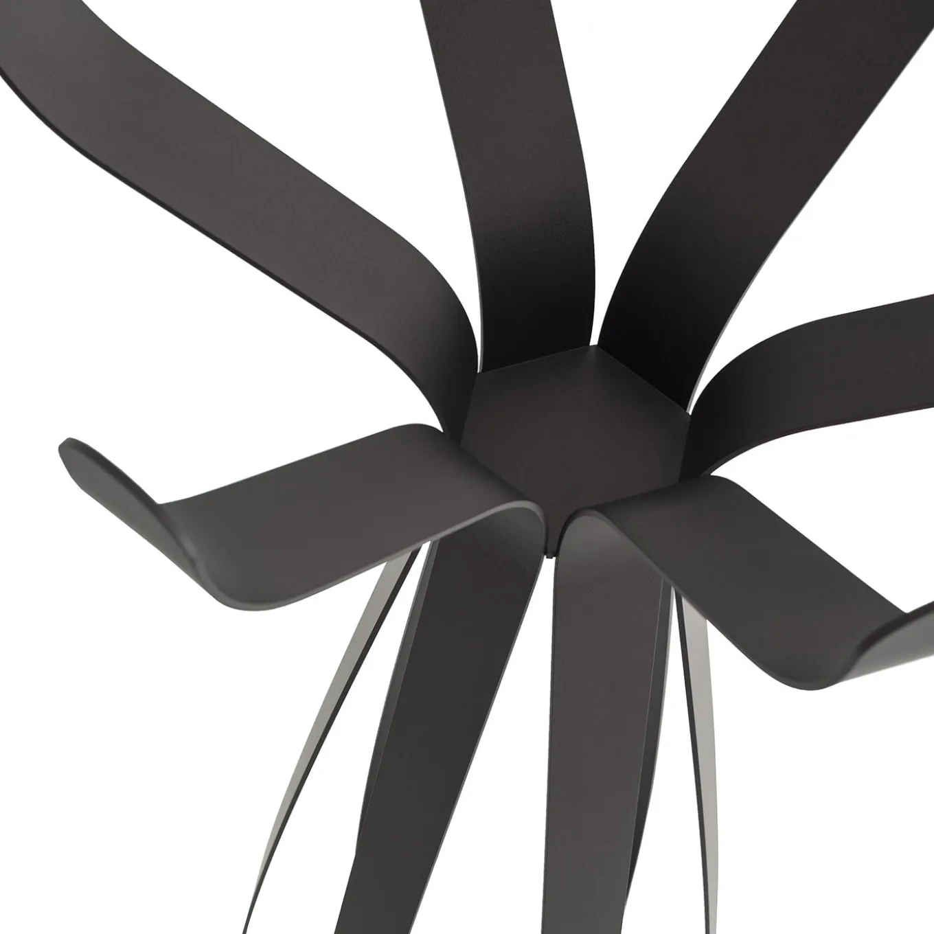 Ficus Phyto-Inspired Burnished Coat Hanger