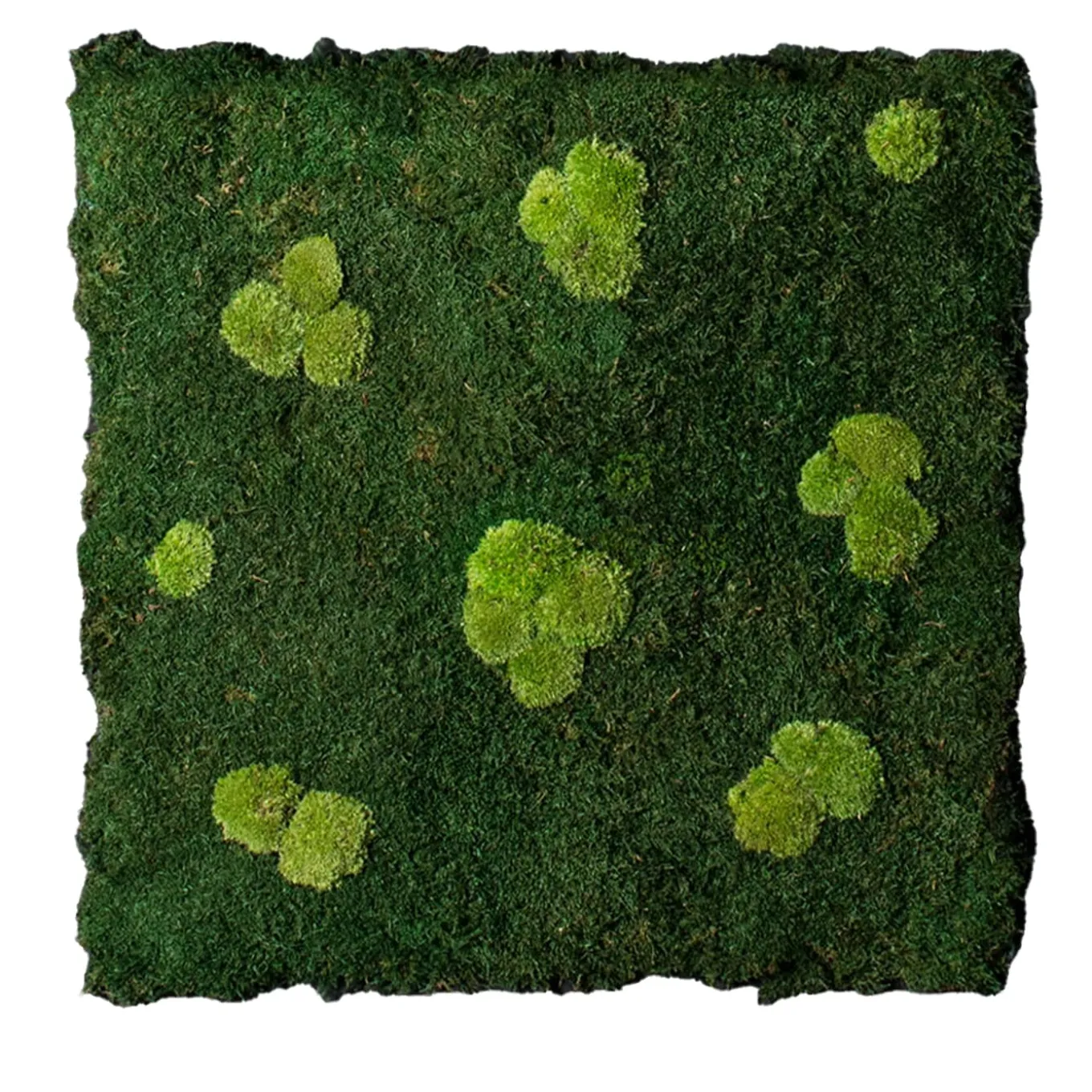 Flatmoss & Polemoss Indoor Panel