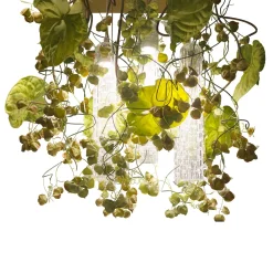 Flower Power Physalis & Anthurium Large Square Chandelier