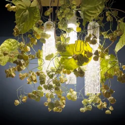 Flower Power Physalis & Anthurium Large Square Chandelier