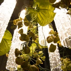 Flower Power Physalis & Anthurium Large Square Chandelier