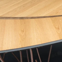 Foglia Fenice Phytomorphic Console