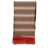 Formia Fringed Striped Polychrome Cashmere & Silk Blanket