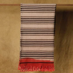 Formia Fringed Striped Polychrome Cashmere & Silk Blanket