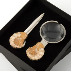 Fossiline Set of Paper Knife & Magnifying Glass by Nino Basso #4