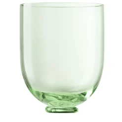 Fungo Green Murano Glass Water Glass