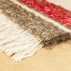 Futuro Fringed Striped Polychrome Blanket
