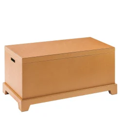 GIOTTO MONOCHROME MEDIUM SHOE TRUNK