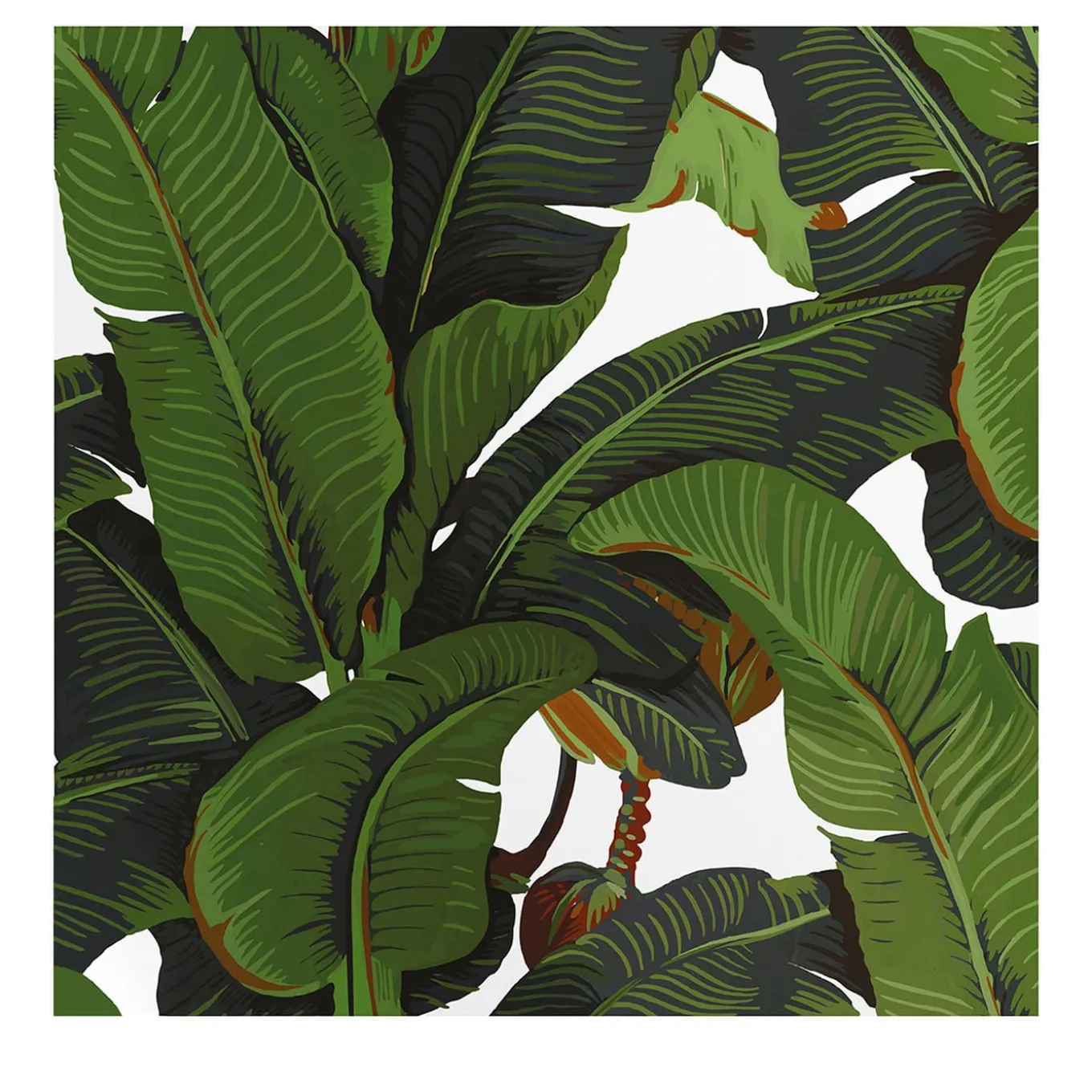 Green and White Banana Leaf Tropical Rainforest Wallpaper
