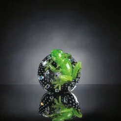 Green Glass Frog On Sphere
