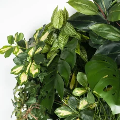 Hana Indoor Vertical Greenery Composition