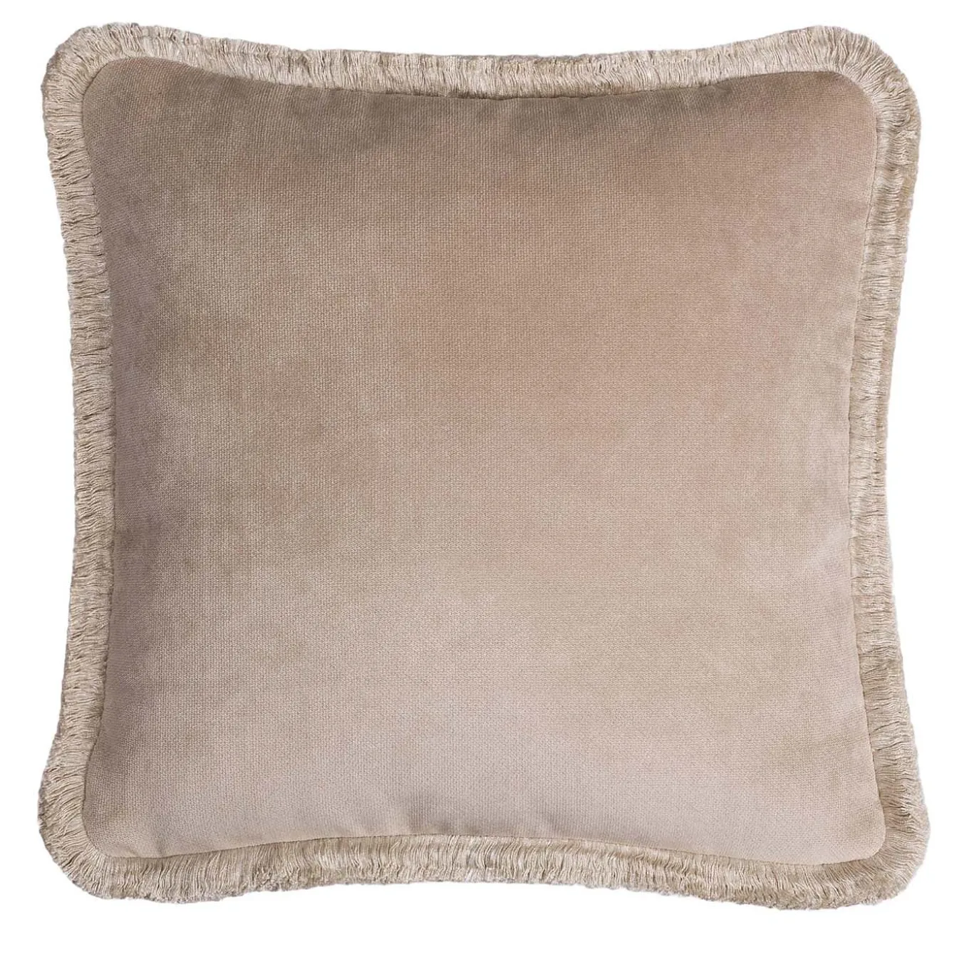 Happy Beige and Beige Cushion