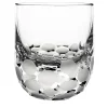 Harry's Jurassic Set of 6 Tumbler Glasses