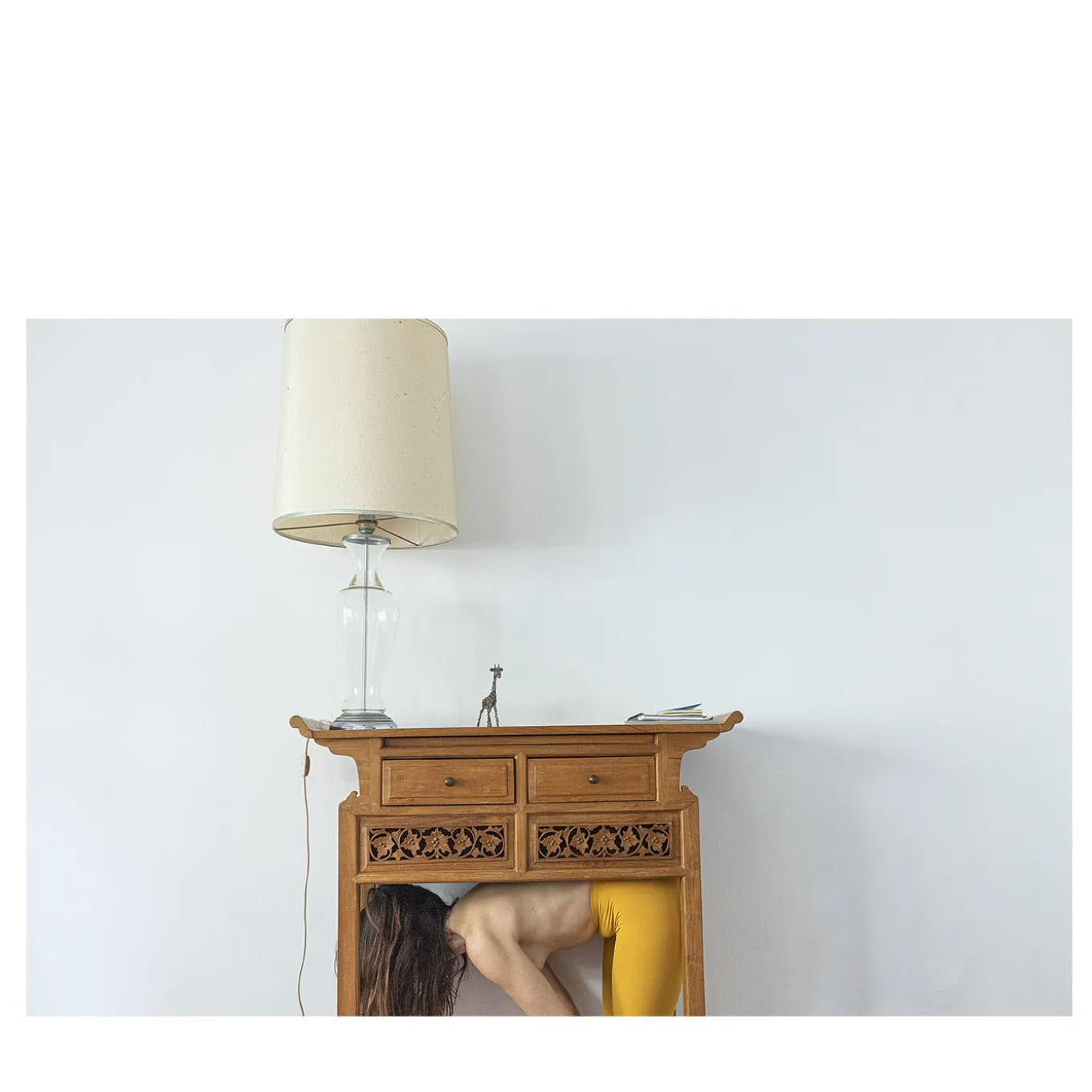 House Animals Photograph