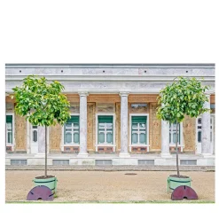 IM_PTS_1208 Photograph