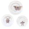 Insecta "Cabinet de Curiosités" Dining Set