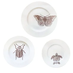 Insecta "Cabinet de Curiosités" Dining Set