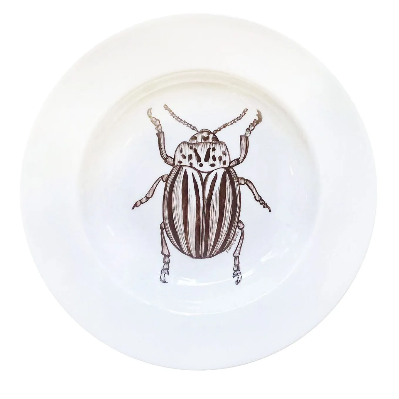 Insecta "Cabinet de Curiosités" Dining Set