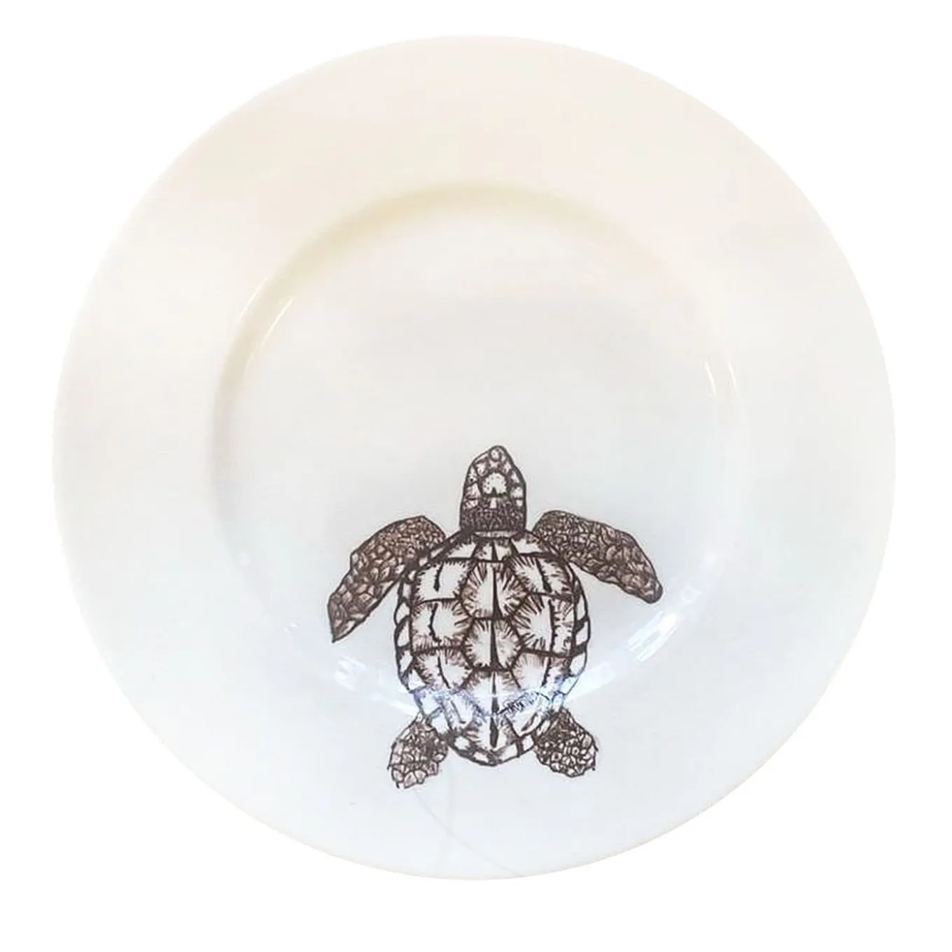 Insecta "Cabinet de Curiosités" Dining Set