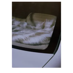 Interno Auto Photographic Print