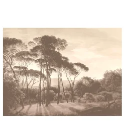 Italian Panorama Seppia Wallpaper