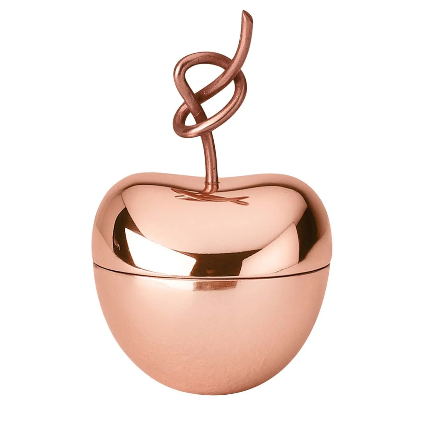 Knotted Cherry Box - Medium by Nika Zupanc