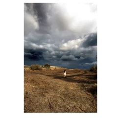 La Vie en Rose Photograph #2