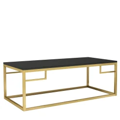 Leandro Black Matt And Brass Coffee Table