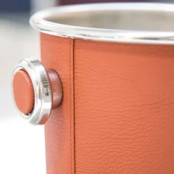 Leather Champagne Glacette in Orange