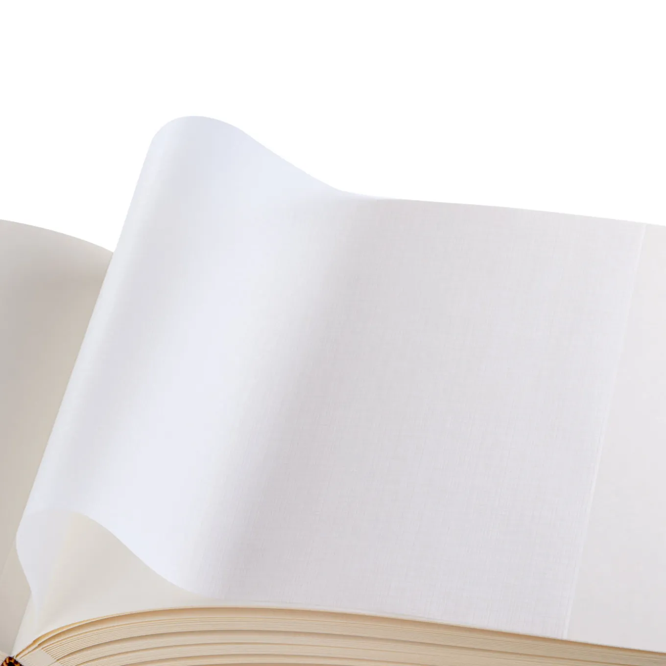 Leather Red Landscape Photo Album